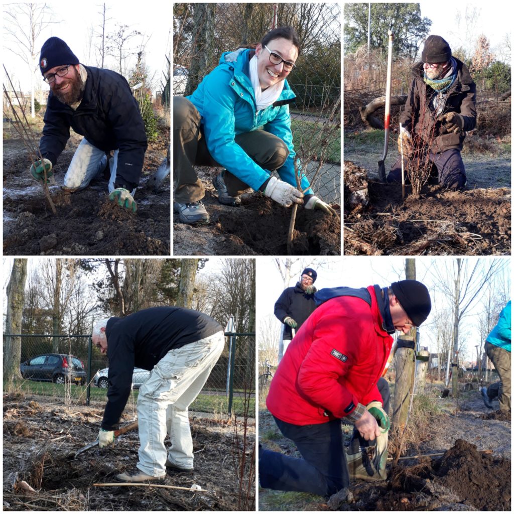 Vrijwilligers aan het werk in de Haarlemmer Kweektuin