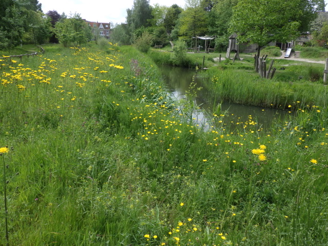 Rondleiding biodiversiteit met stadsecoloog Dik Vonk