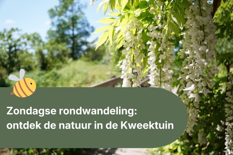 Zondagse rondwandeling met oud-stadsecoloog Dik Vonk: 14 juni