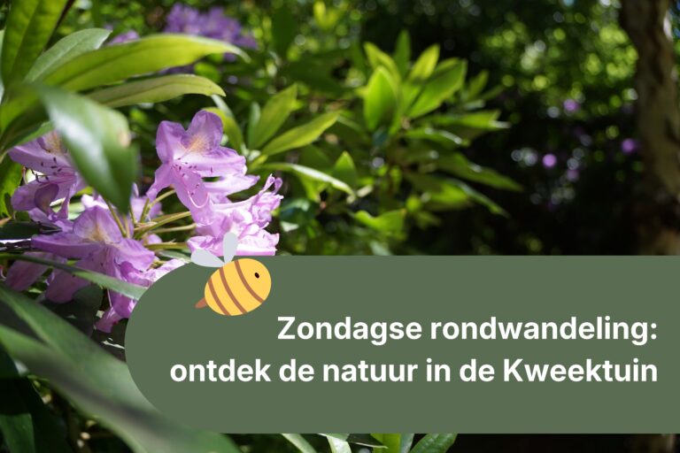 Zondagse rondwandeling met oud-stadsecoloog Dik Vonk: 12 juli