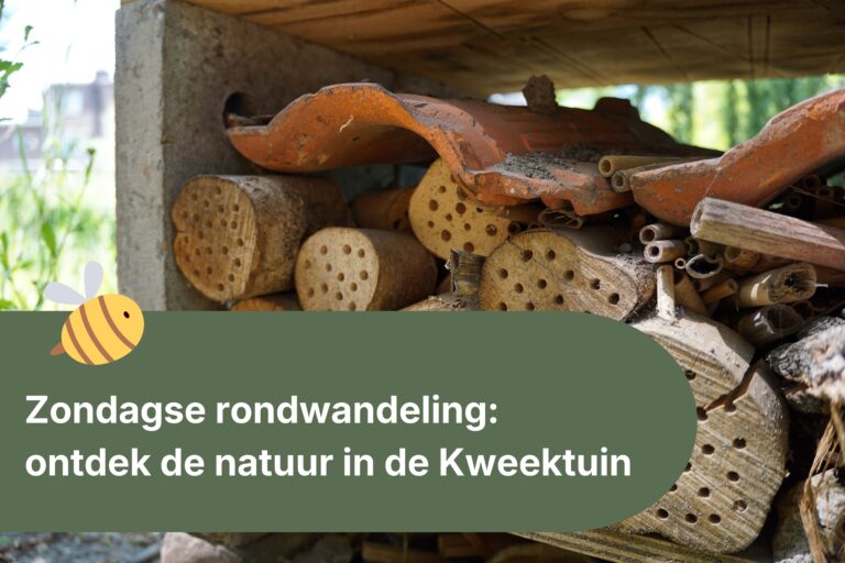 Zondagse rondwandeling met oud-stadsecoloog Dik Vonk: 9 augustus