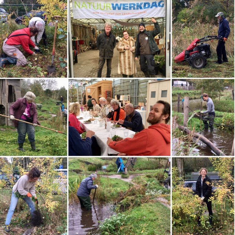Natuurwerkdag: zaterdag 7 november 2026, 10:00 – 14:00